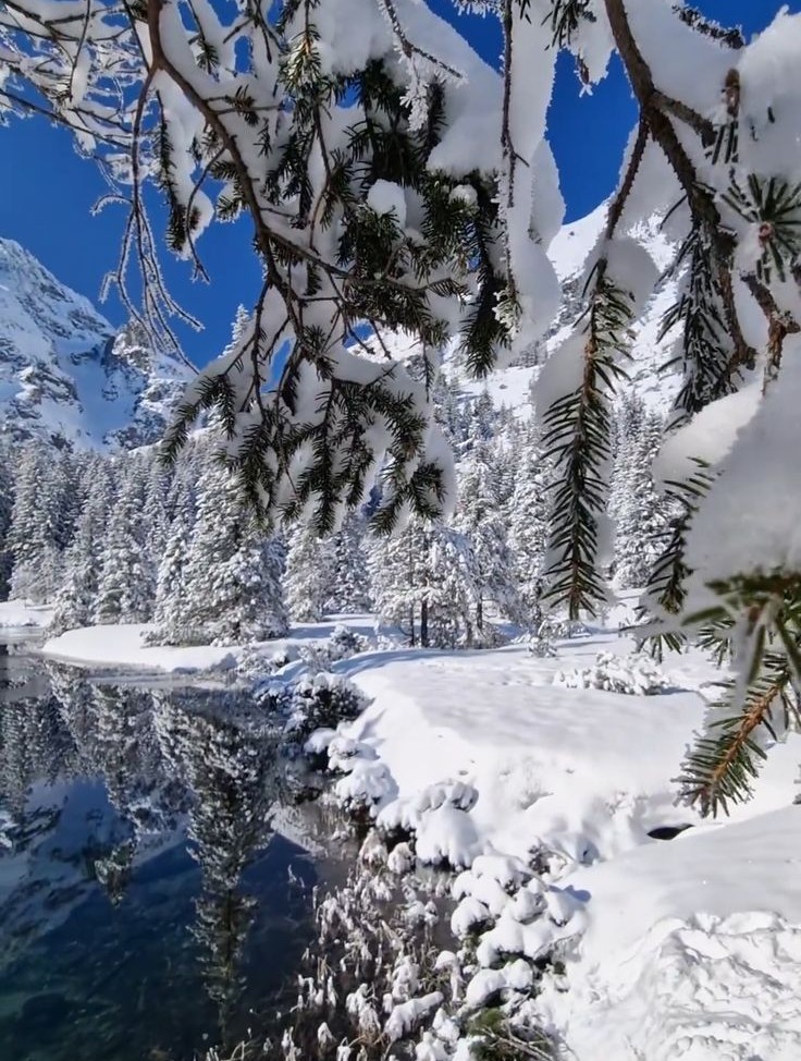 Zakopane: Polonya’nın Tatra Dağları’nda Saklı Masal Şehri